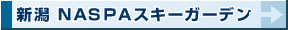 �V���@NASPA�X�L�[�K�[�f��